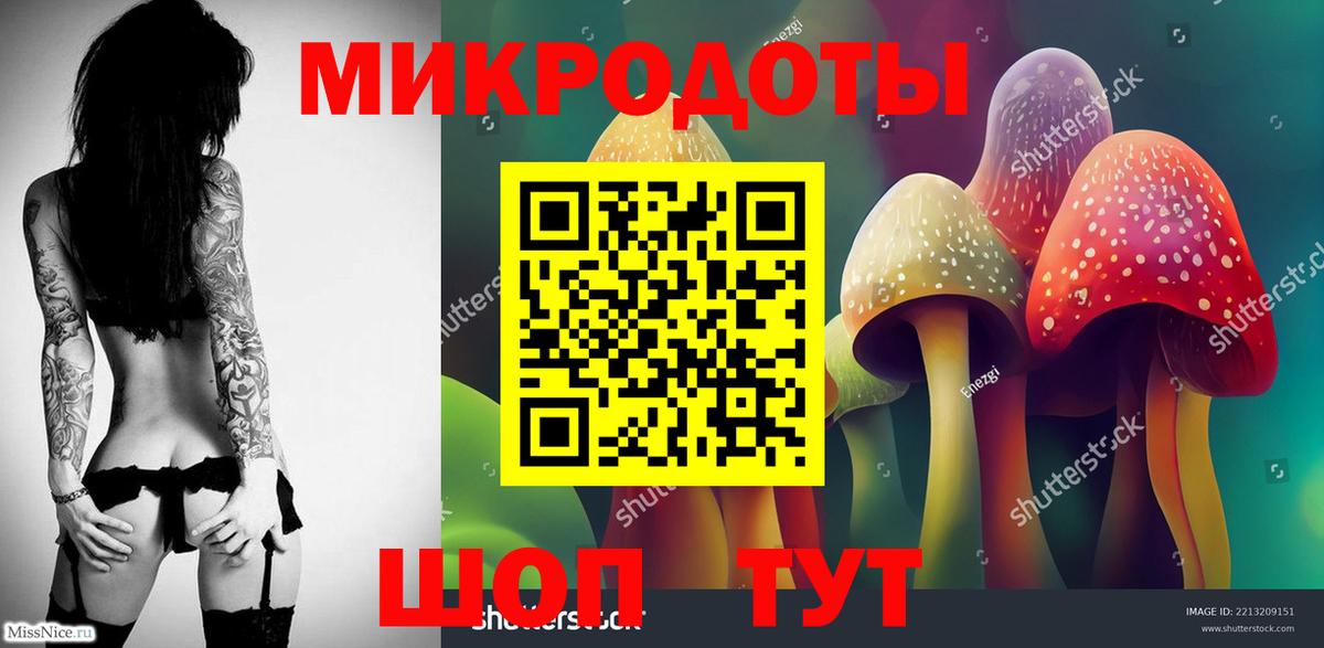 Псилоцибиновые грибы мицелий Белгород